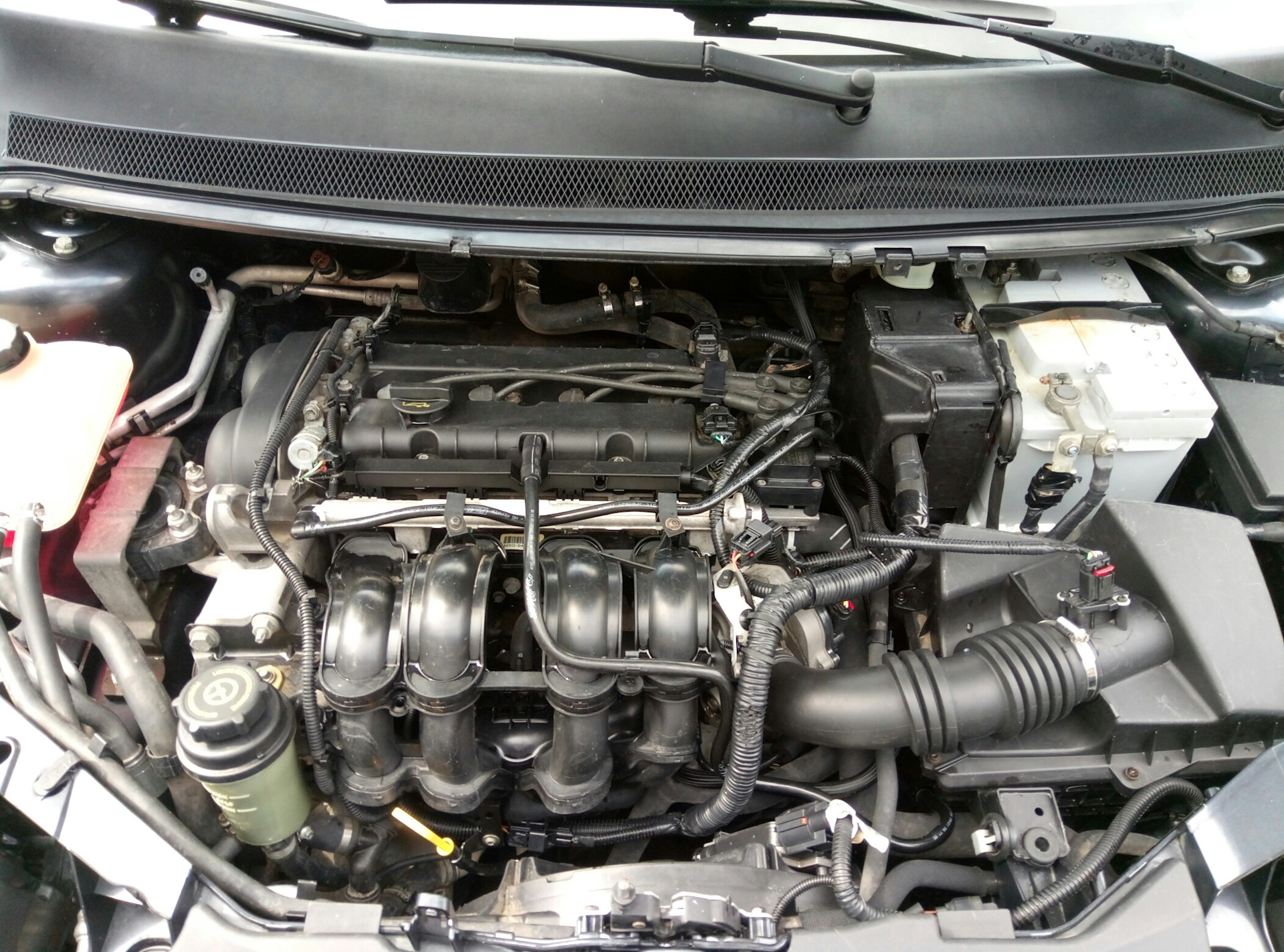 Ford Duratec Ti-VCT 16V Sigma 1.6 motor (115 pk) (Ford Focus)